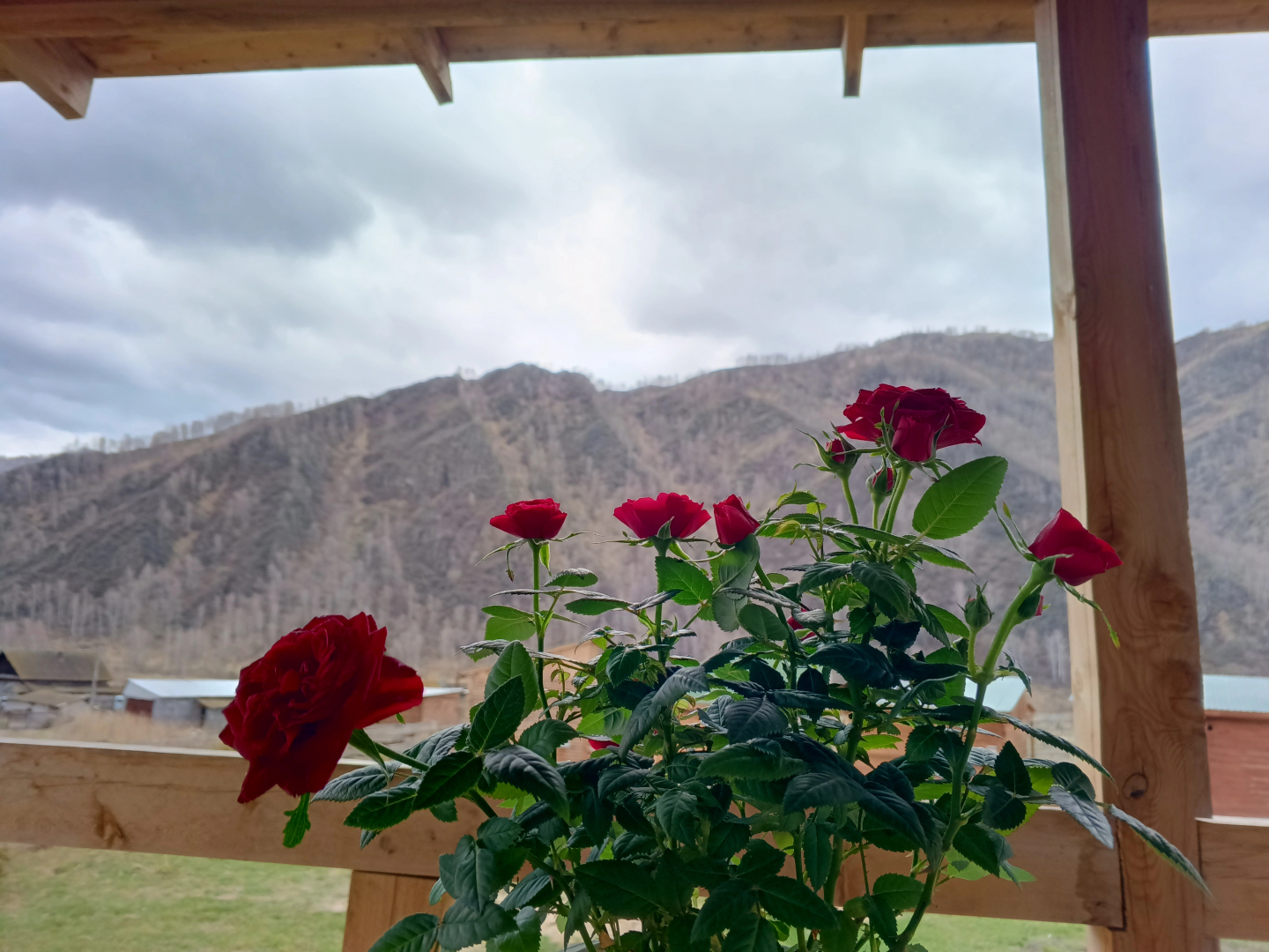 База отдыха Магия Алтая тур