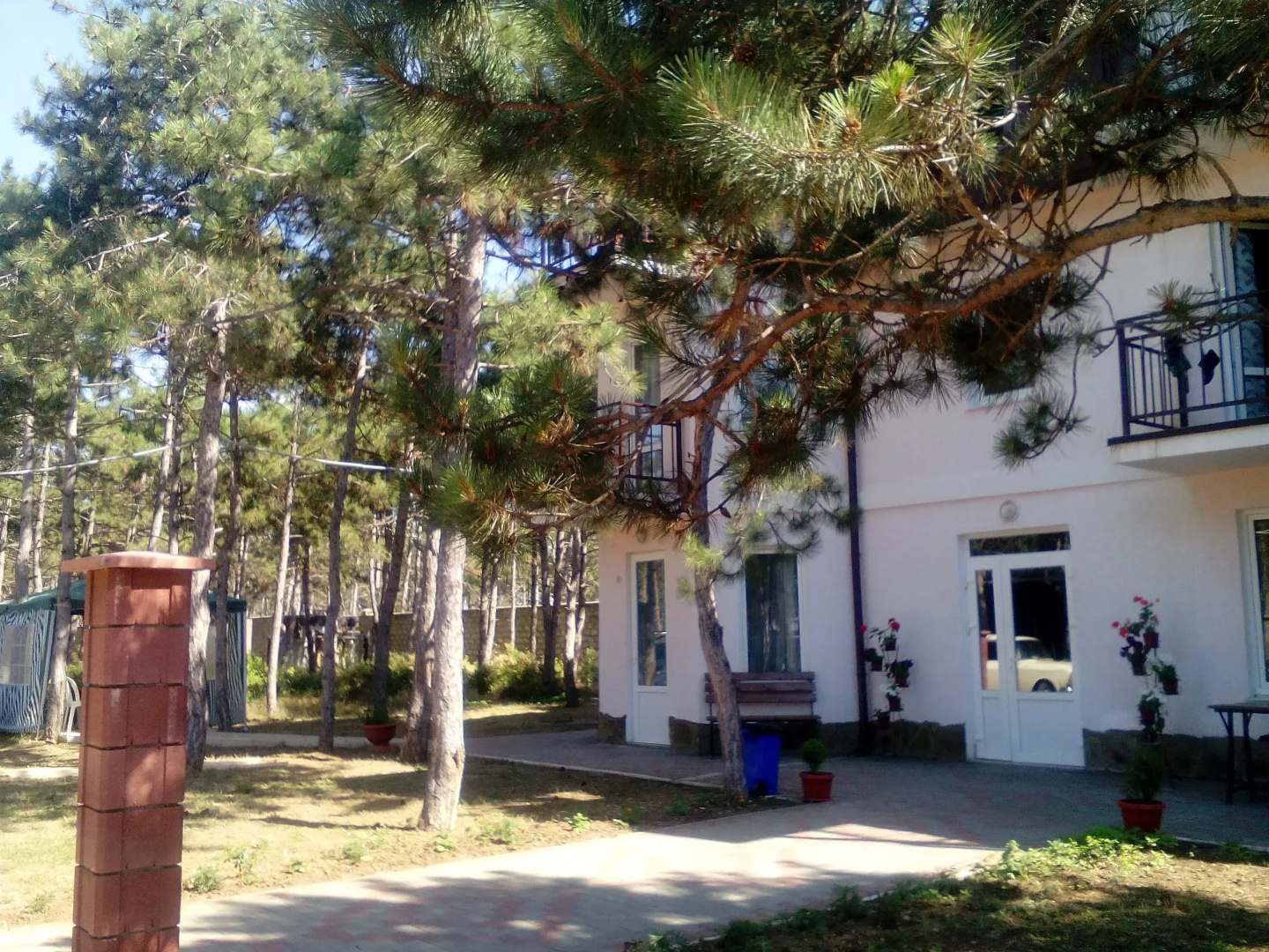 Алексия