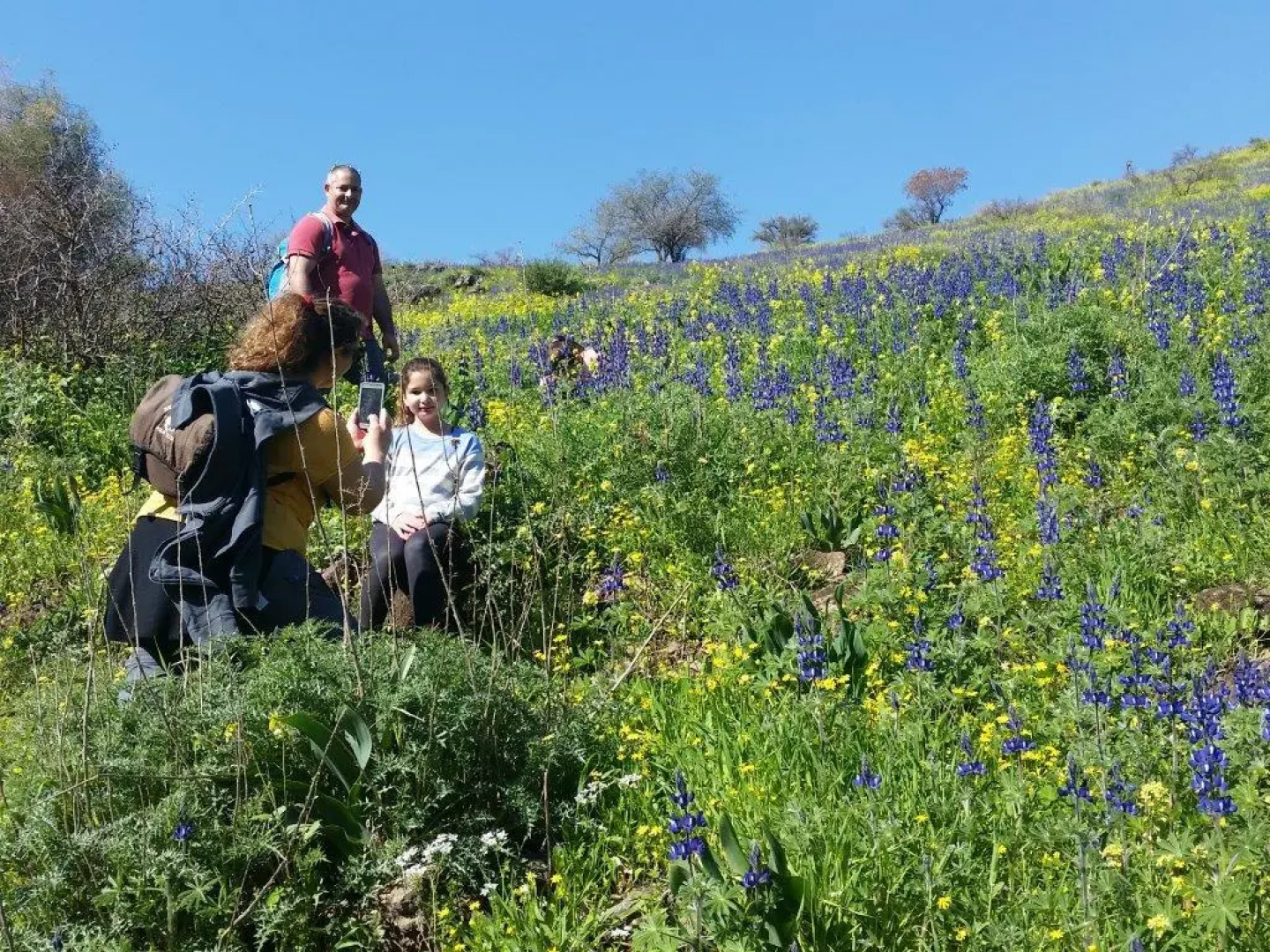 Отель Pearl of the Valley