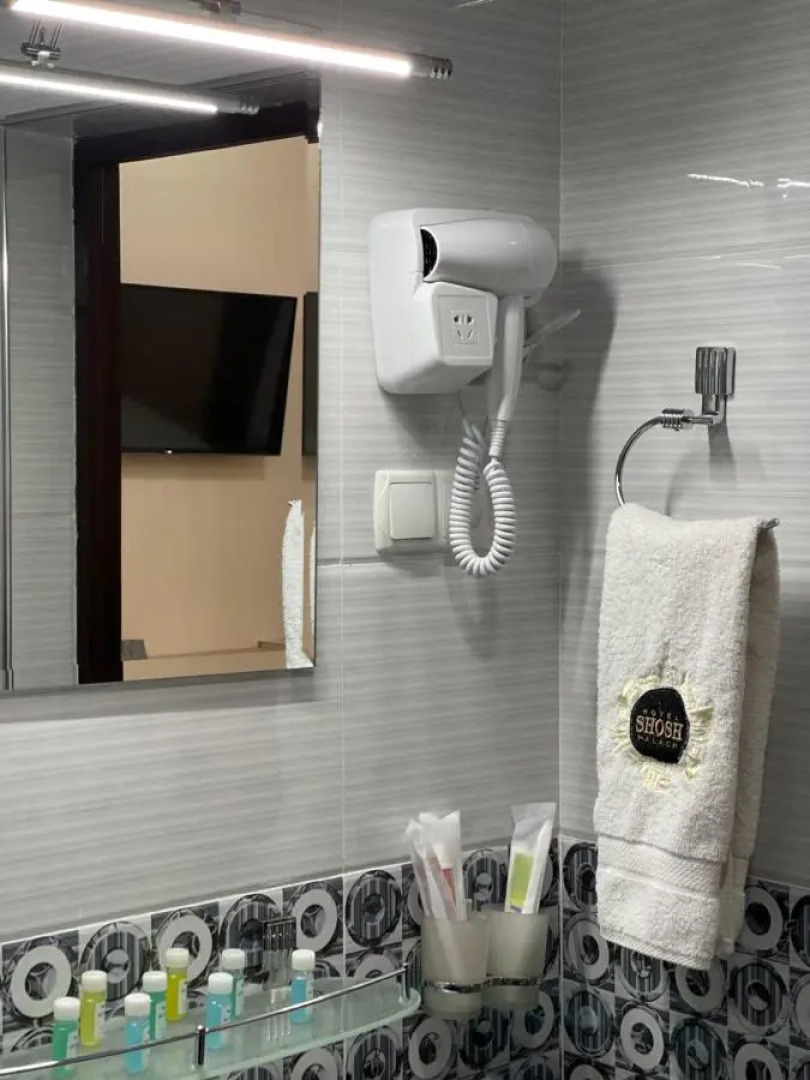 Отель Shosh Palace