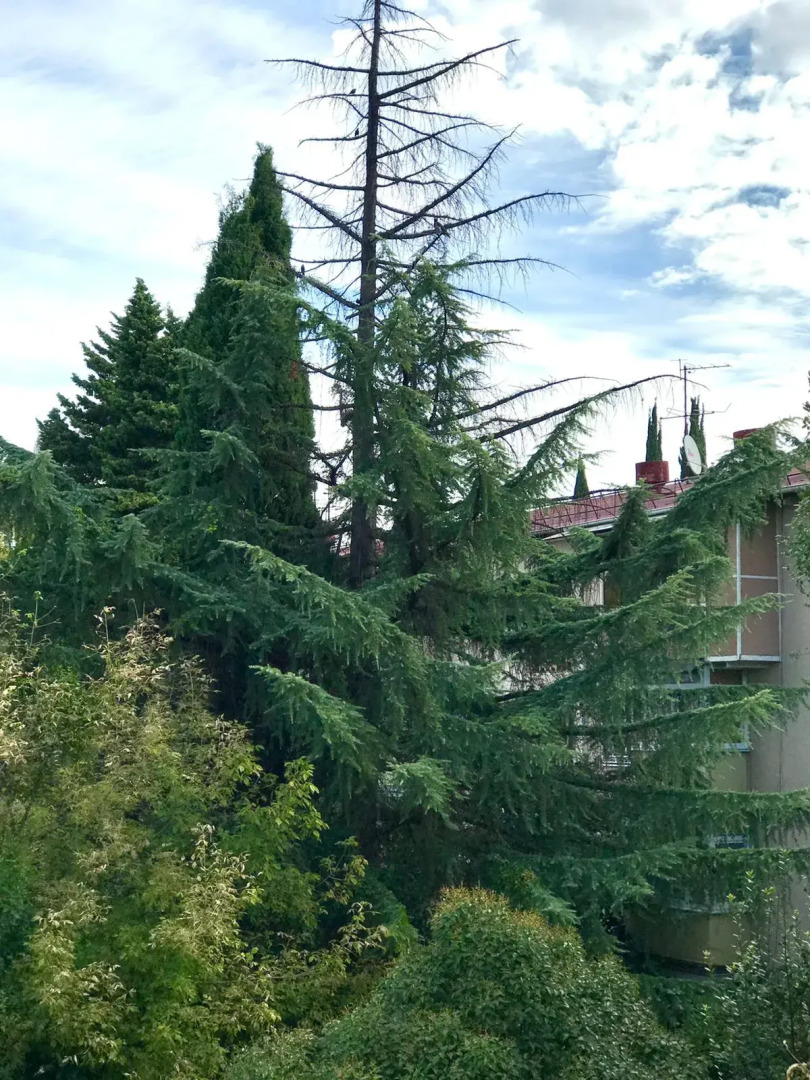 Апартаменты На Цветном бульваре