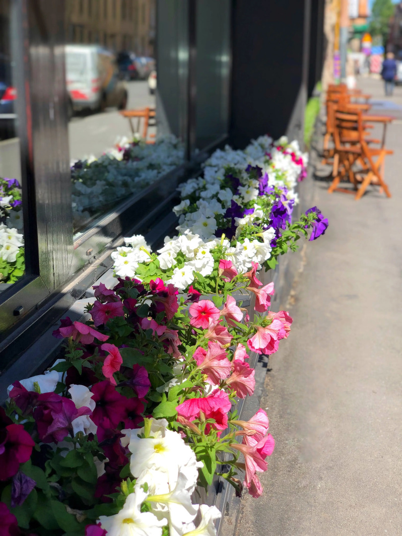 Отель Петервиль