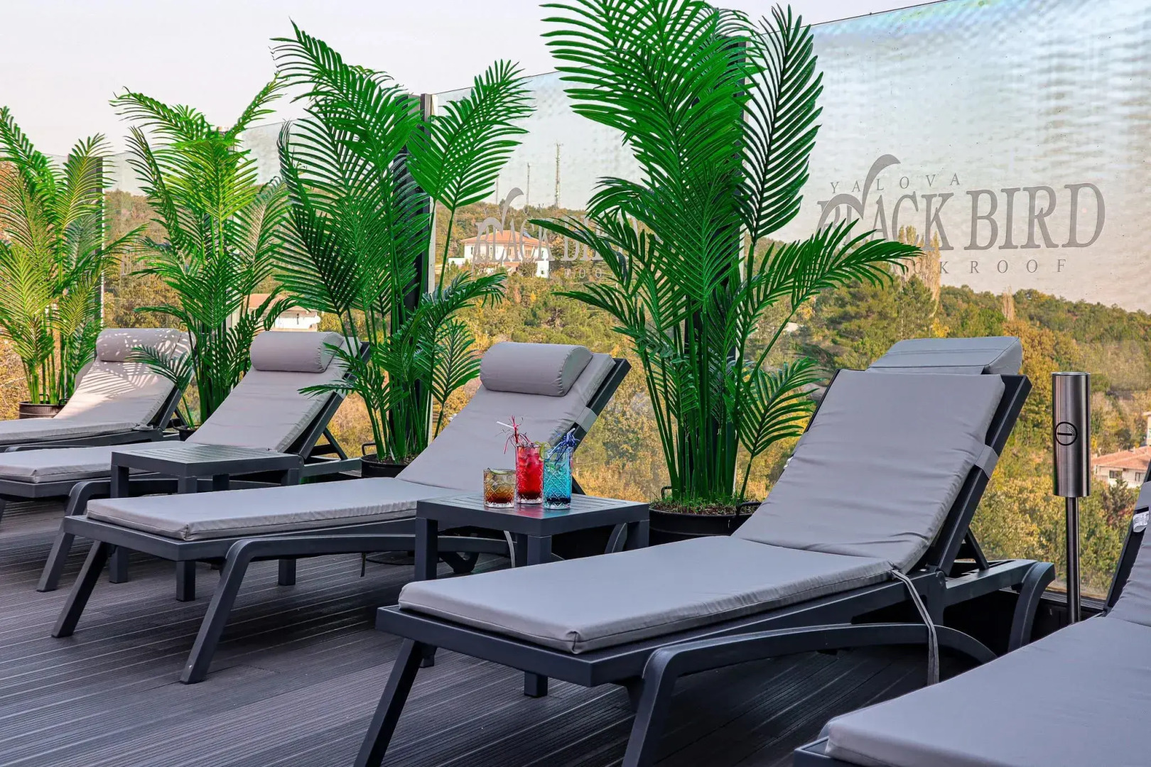 Black Bird Thermal & Spa Yalova Hotel