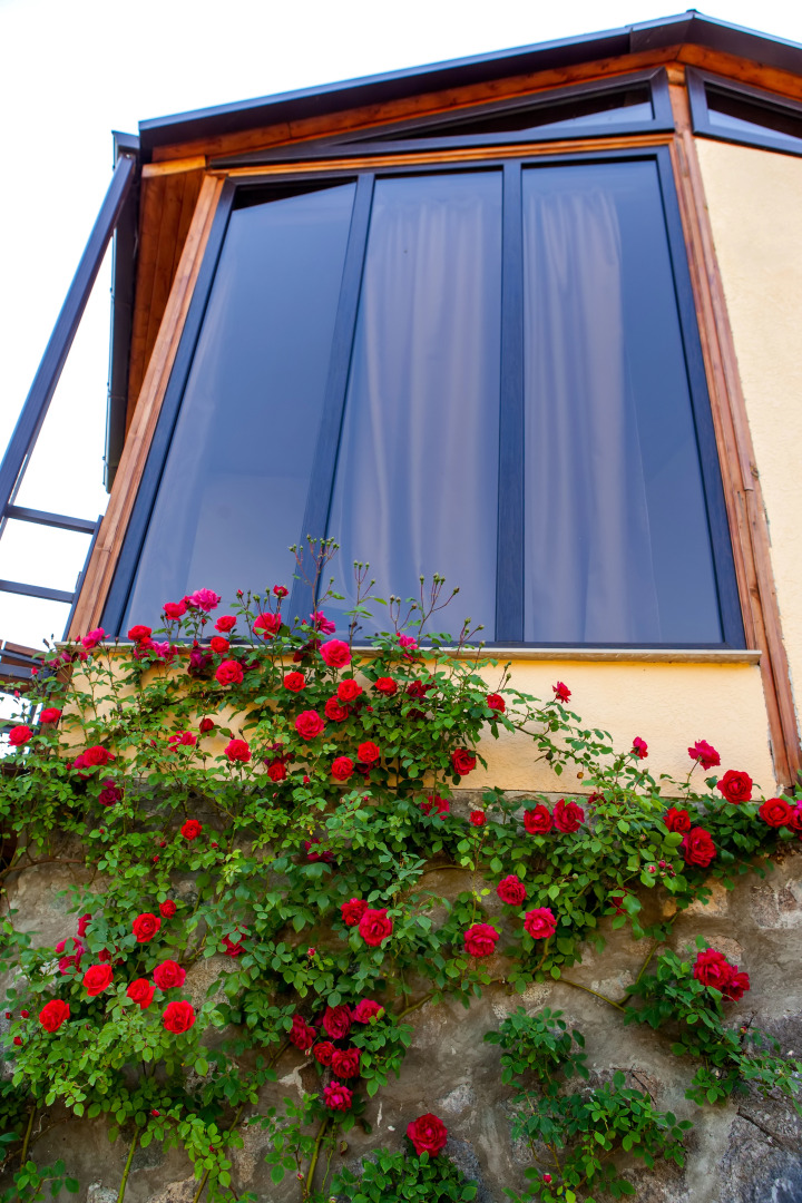 Гостевой дом Dilivita