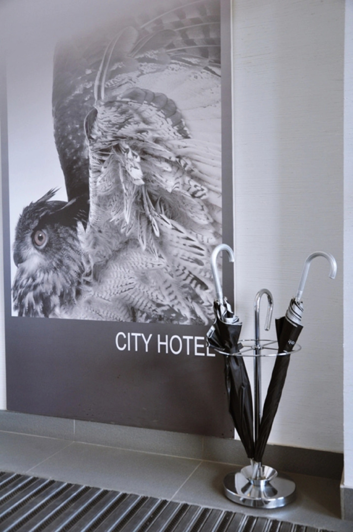 City Hotel Sova