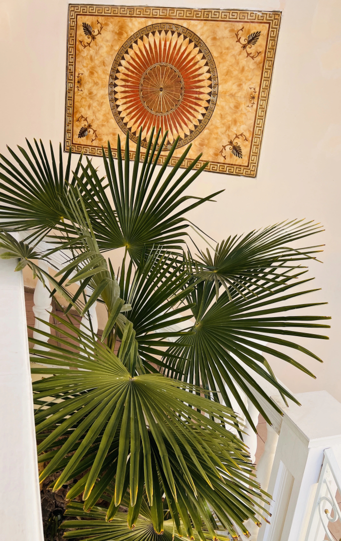 Гостевой дом МиД