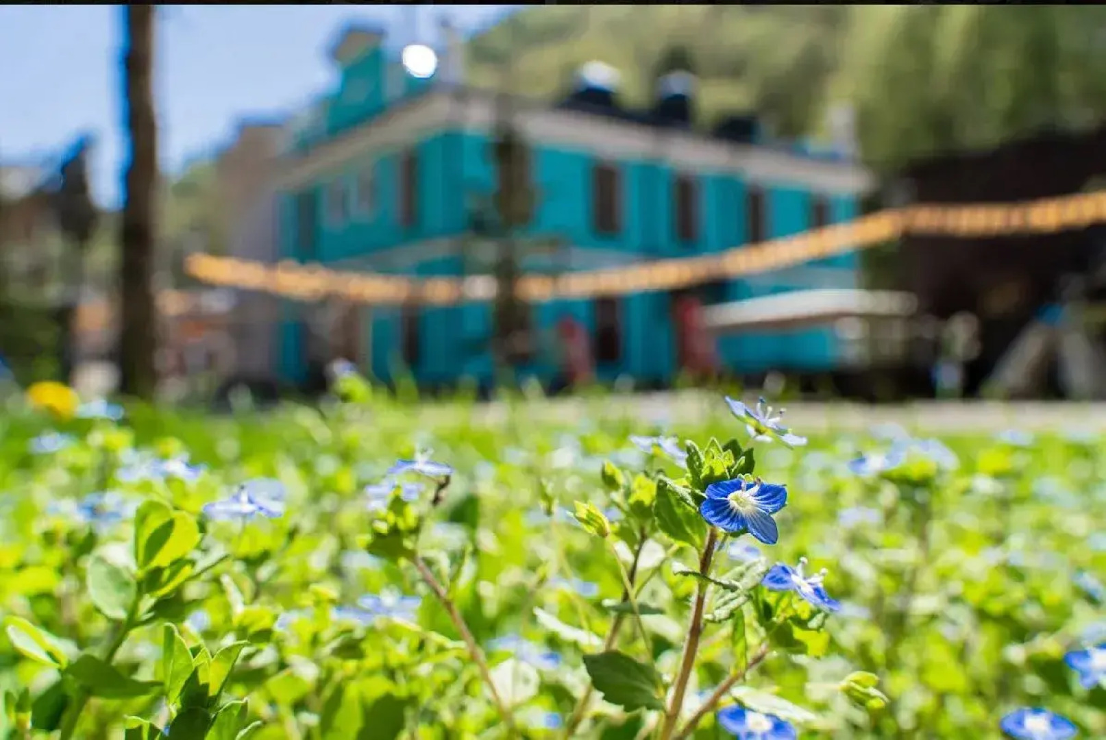 Бутик-Отель Русские Сезоны Бутик-отель Невский, Роза Хутор