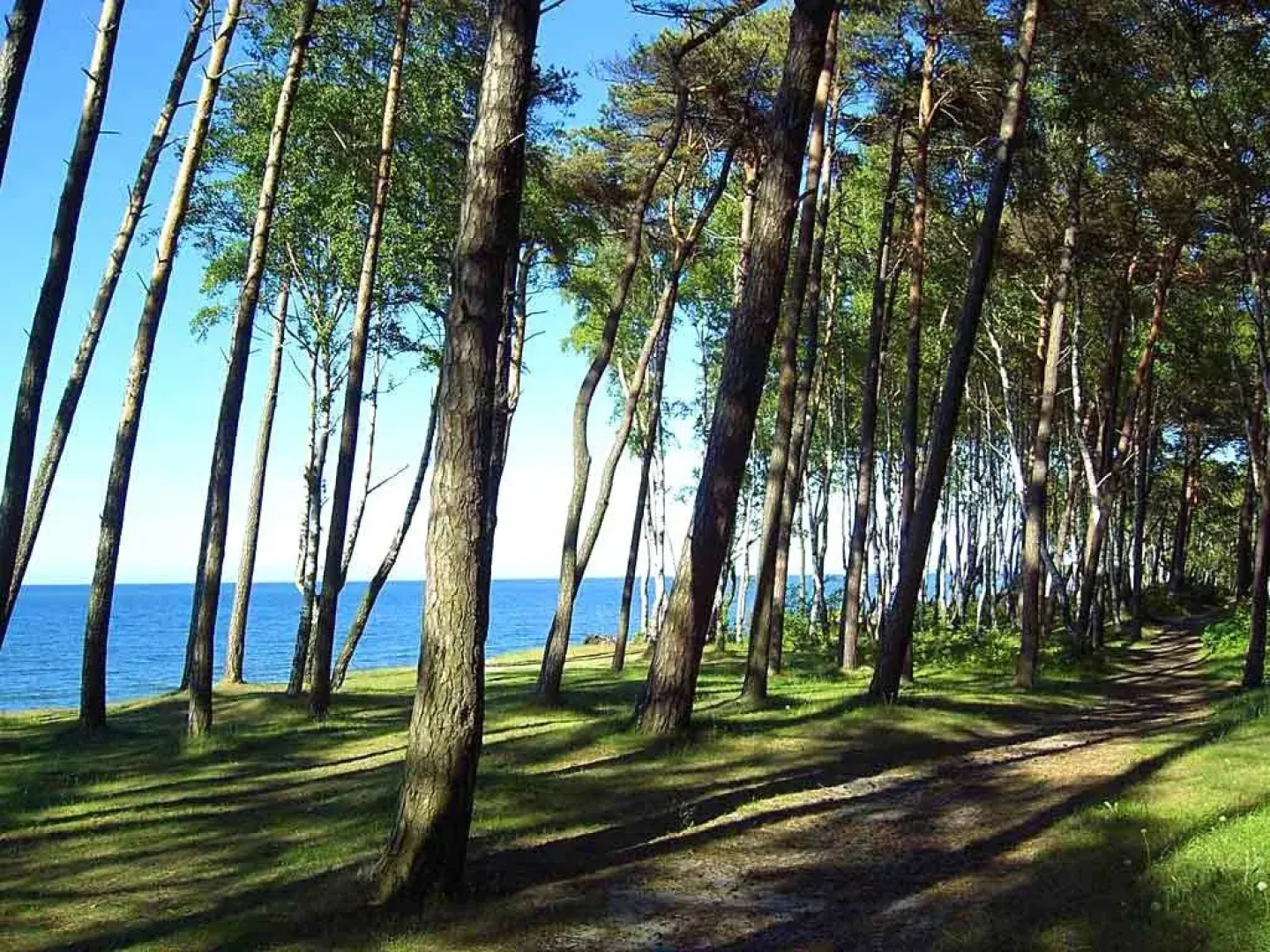 Апартаменты Квартира в городе Пионерский у моря