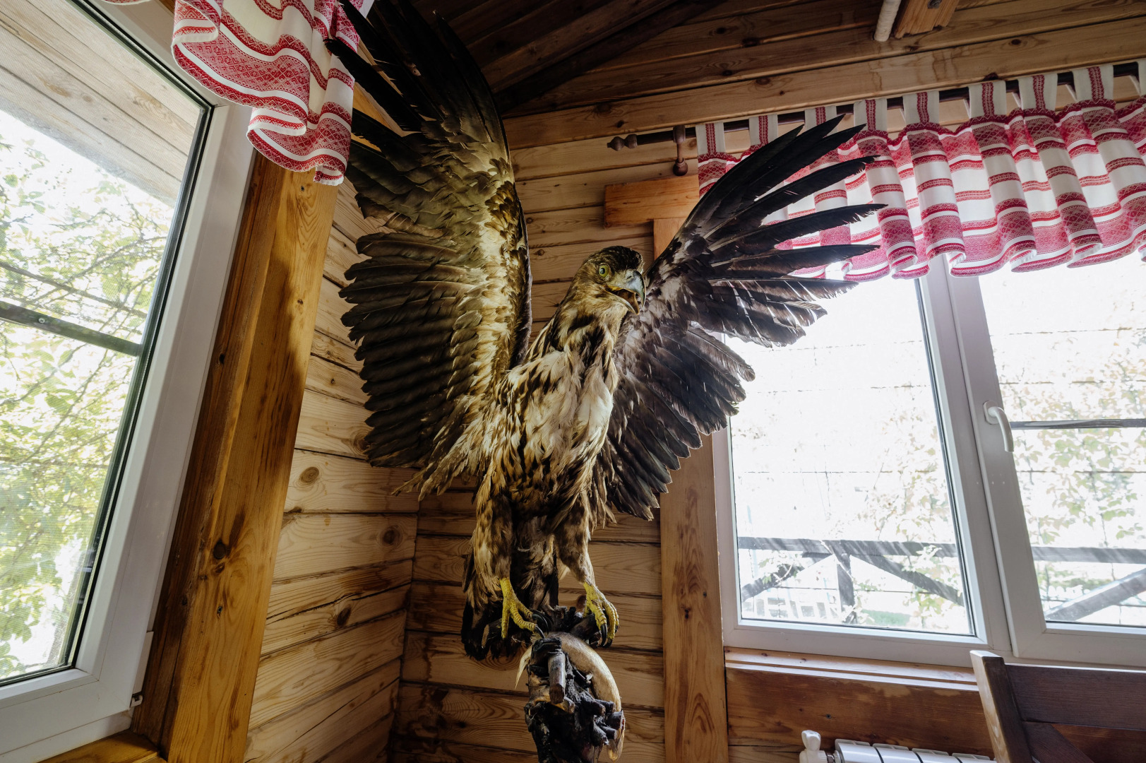 База отдыха Золотой Лотос