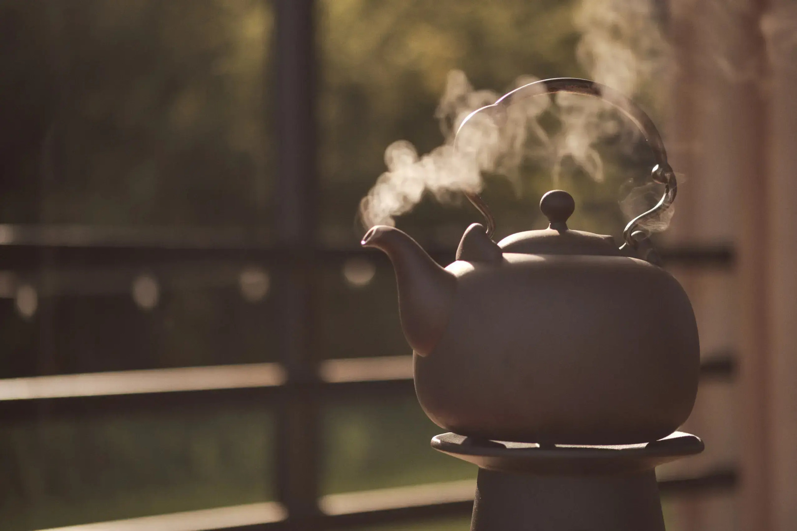 Гостевые дома Паленки