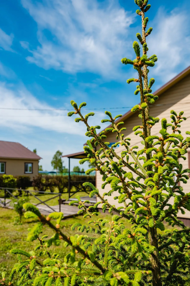 Частный дом на берегу озера Плещеево 57А