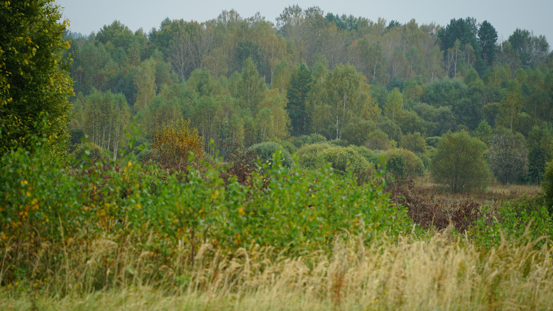 База Отдыха Лаванда