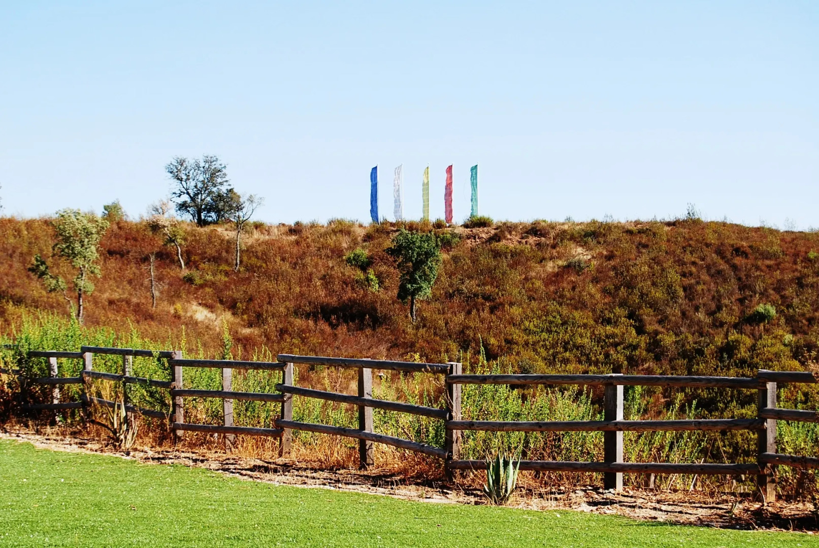 Гостевой Дом Buddha Peaceful Oasis