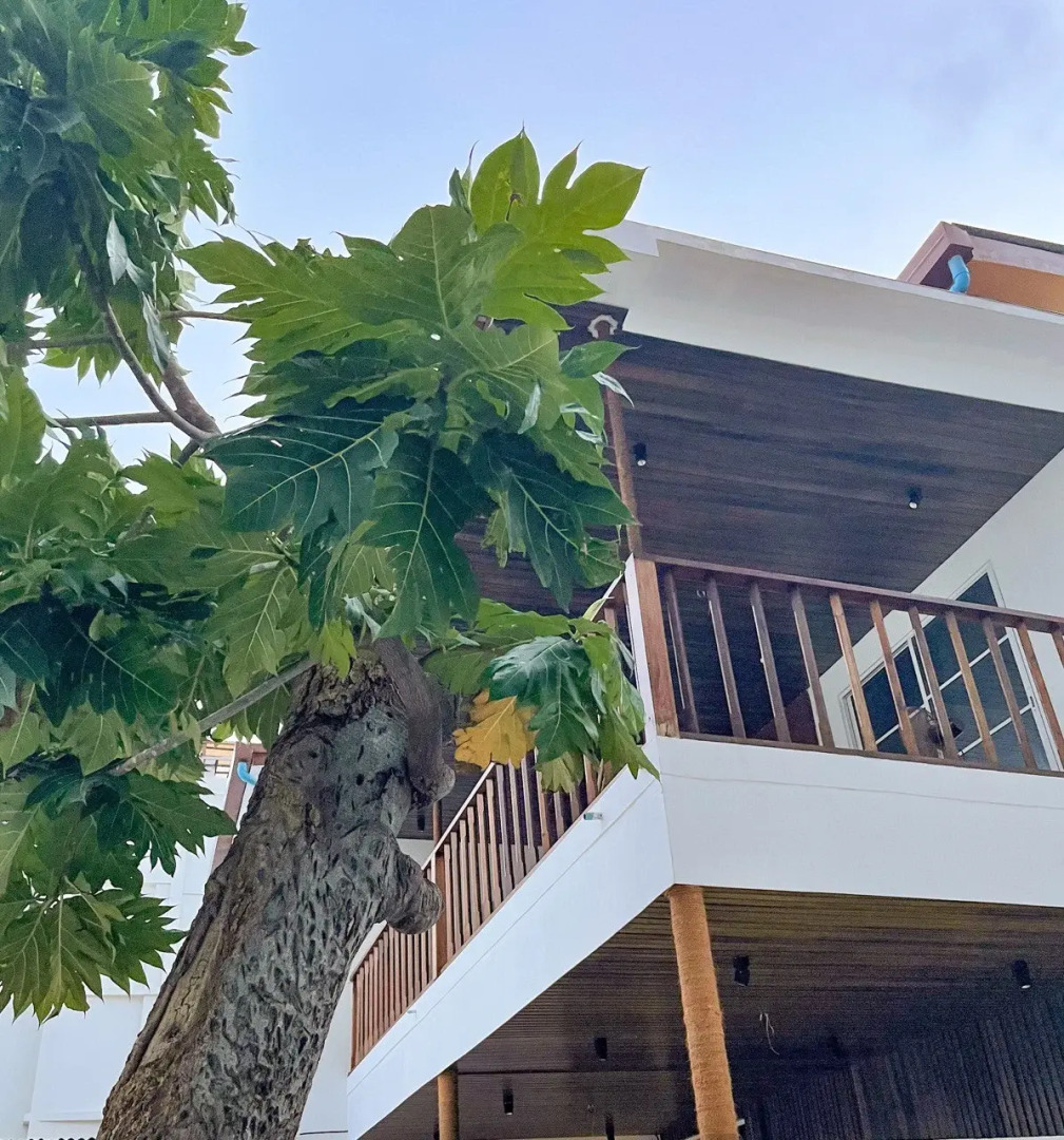 Отель Fatims Beach House Maafushi