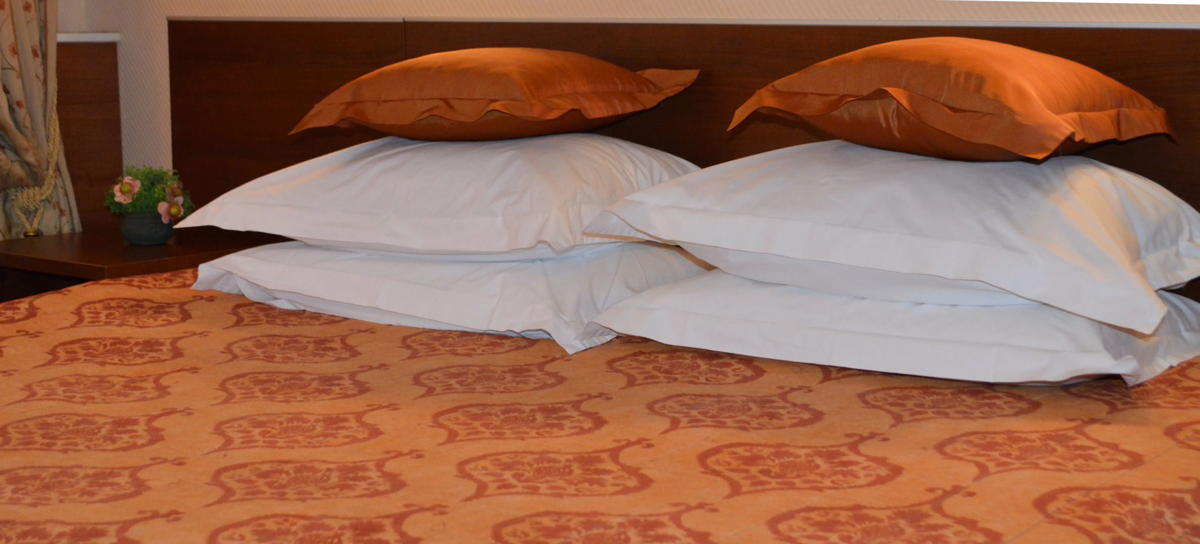 Отель Моника