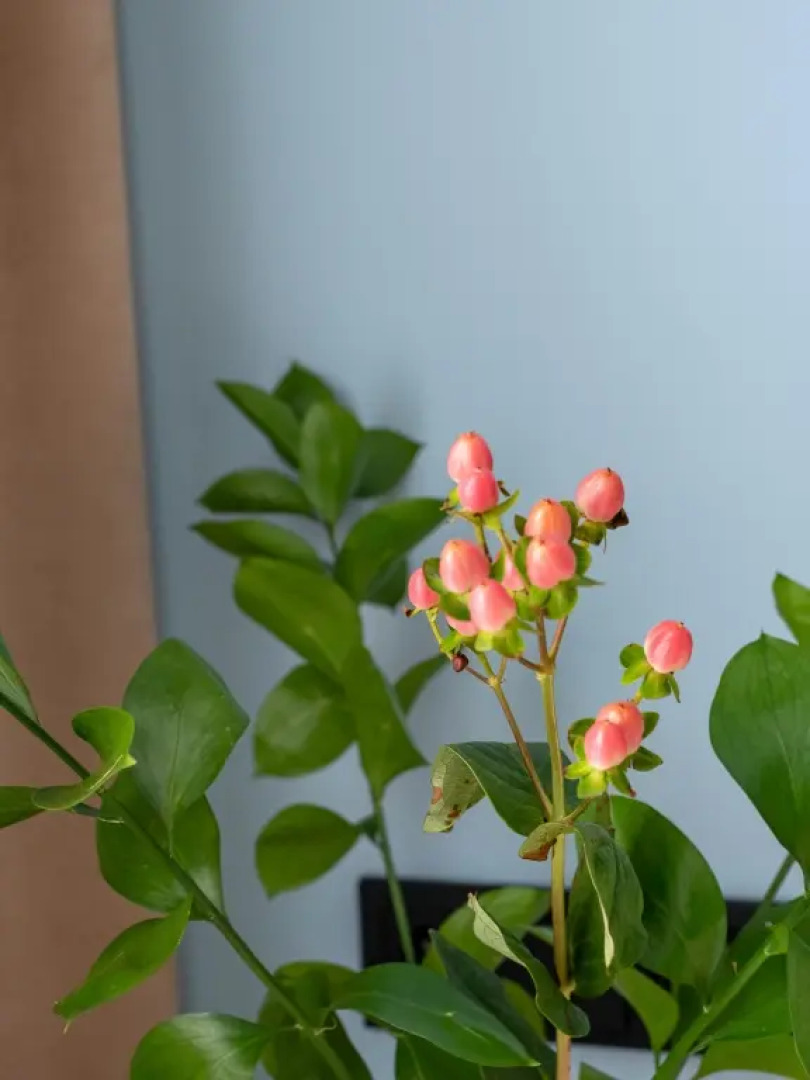 Апартаменты Lubervill 852/3