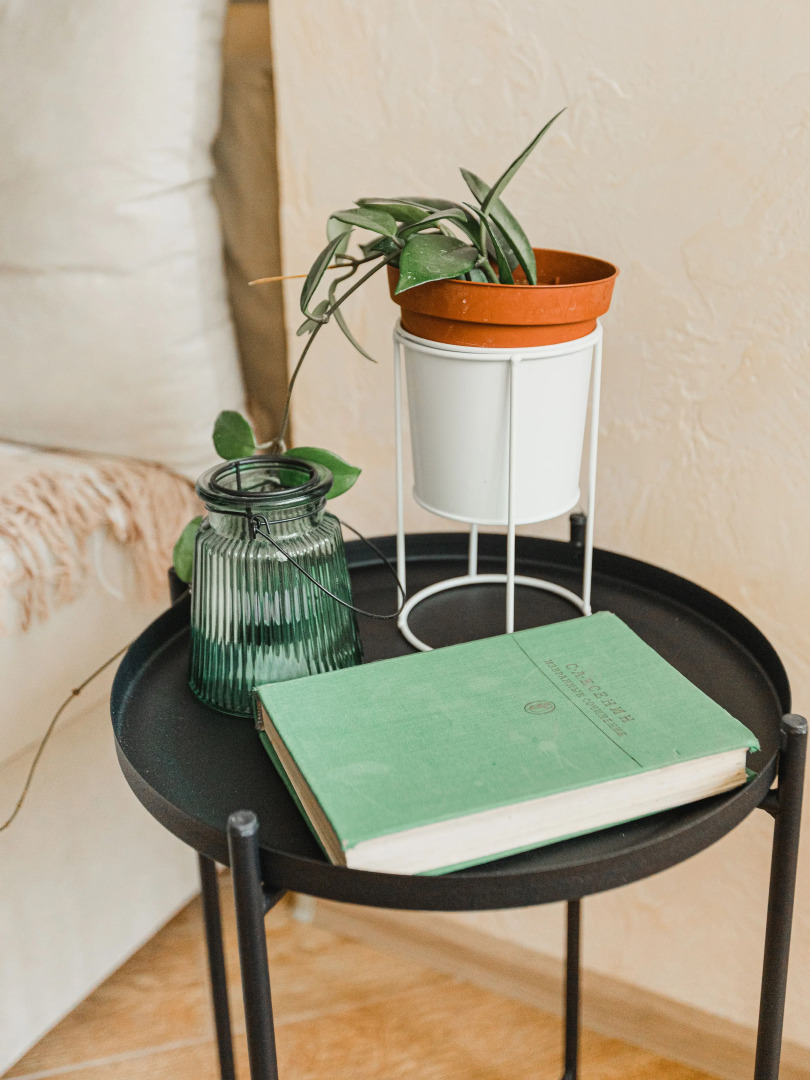 Апартаменты Esenin Okskiy