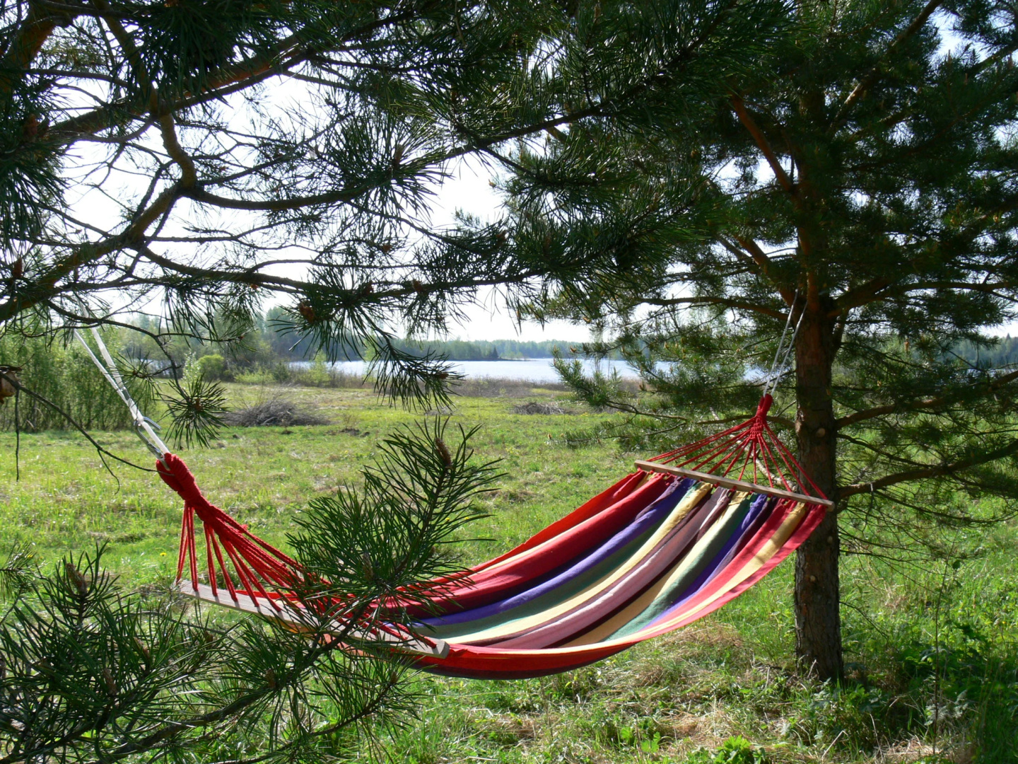 Кемпинг International Camp club Bereg Best Beach Stylish Coastline Ukleyno Lake National Park Valdai