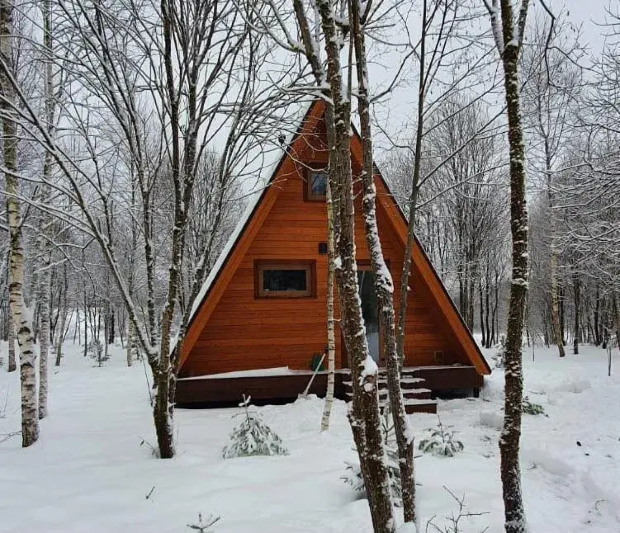 Частный дом на на берегу реки Руза