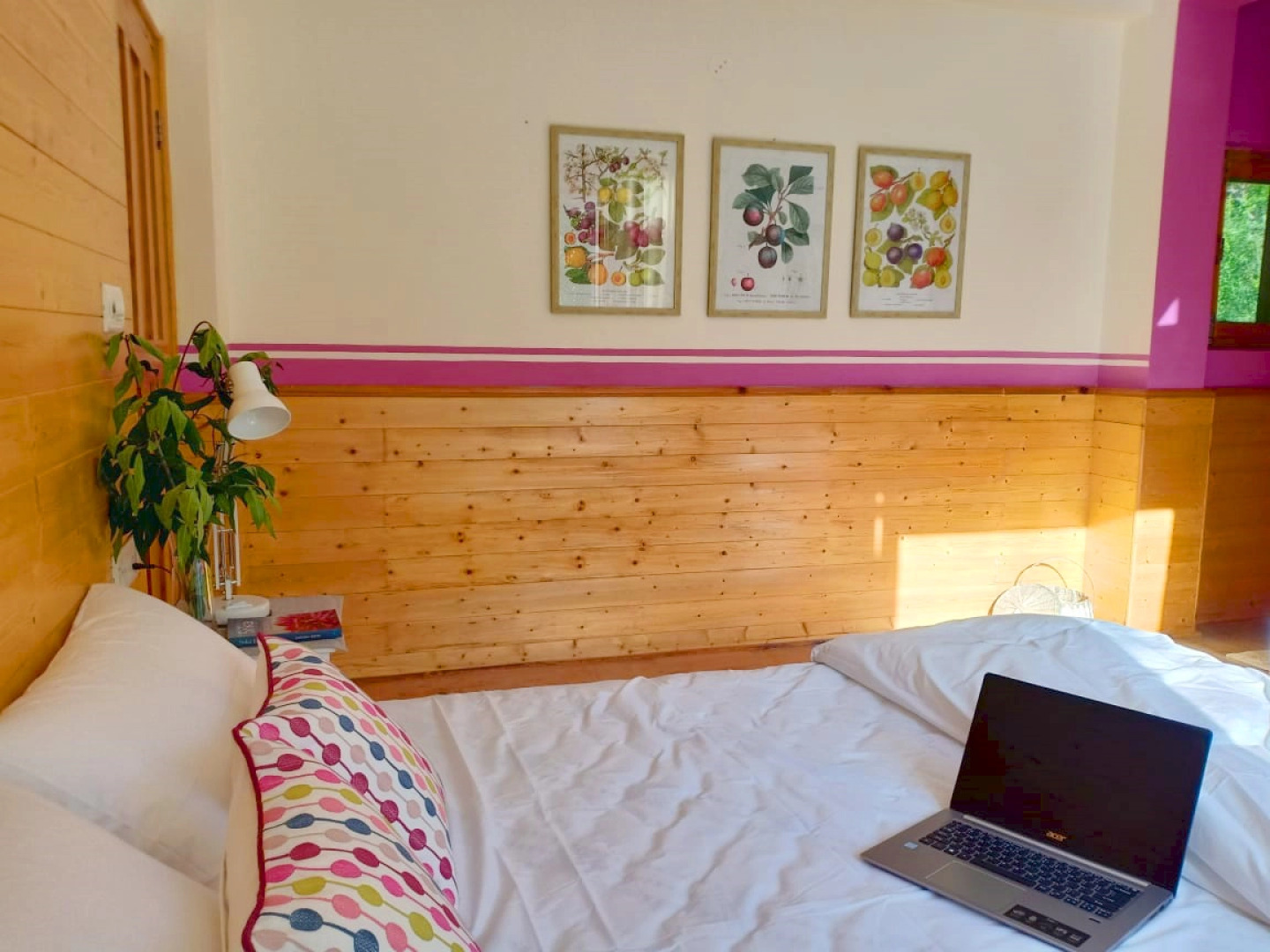 Гостевой дом Seclude Orchard Manali