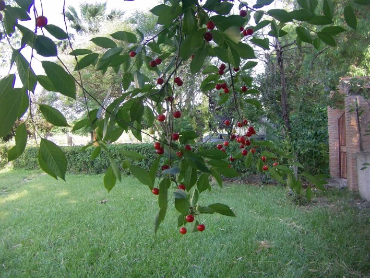 Апартаменты Aenaon Studios