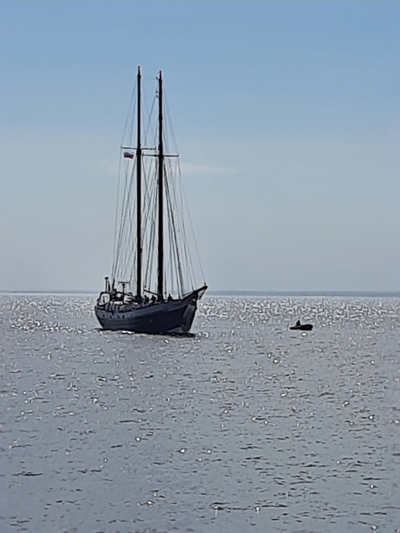 Квартира- студия на Берегу Финского Залива