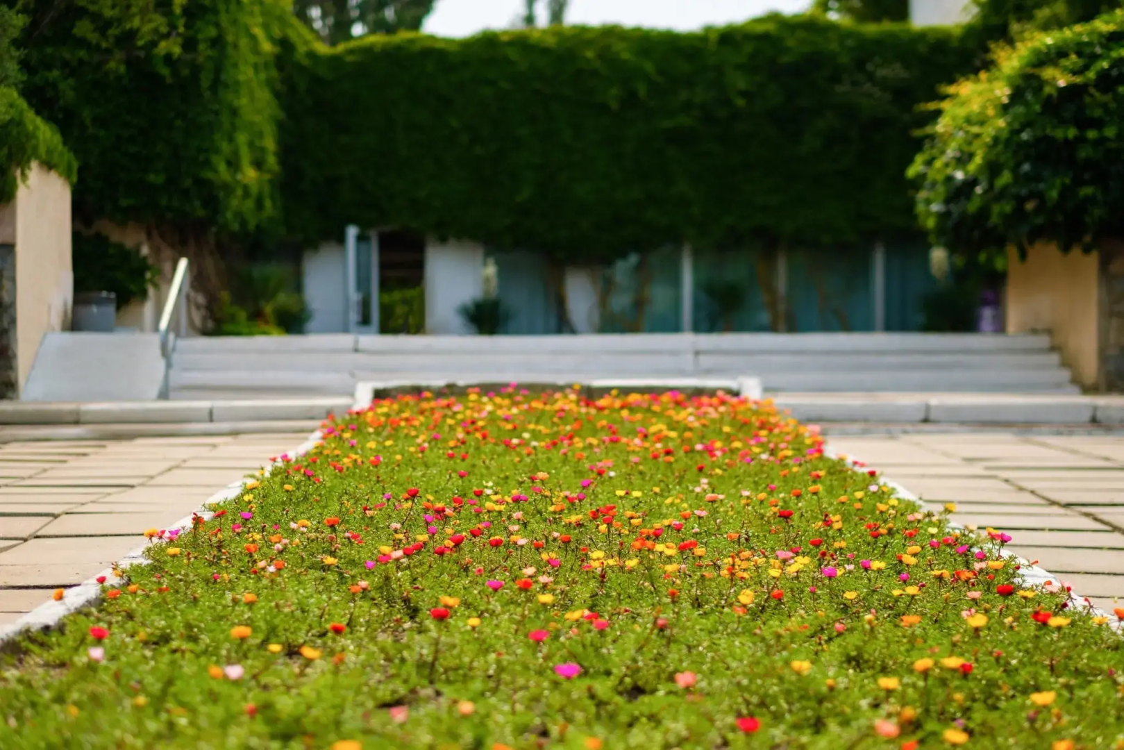 Пансионат Крымское Приазовье