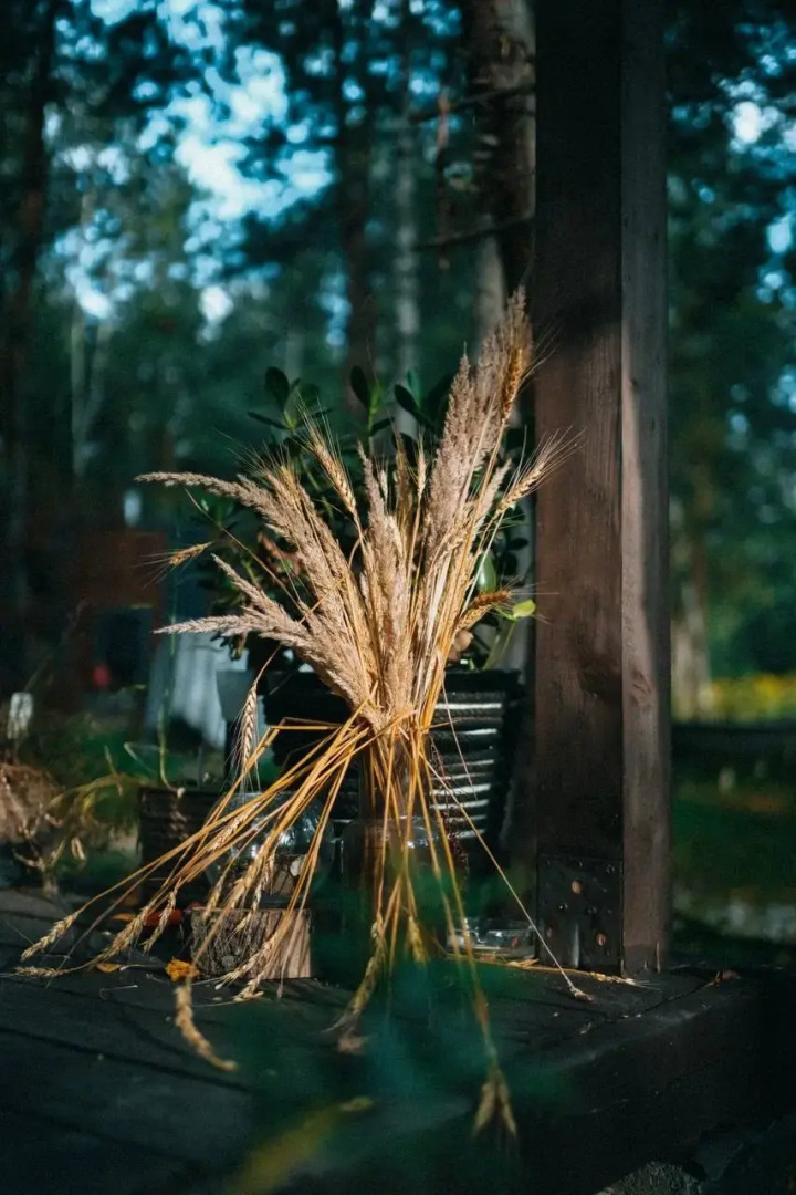 Глэмпинг TinyDacha Можжевельник