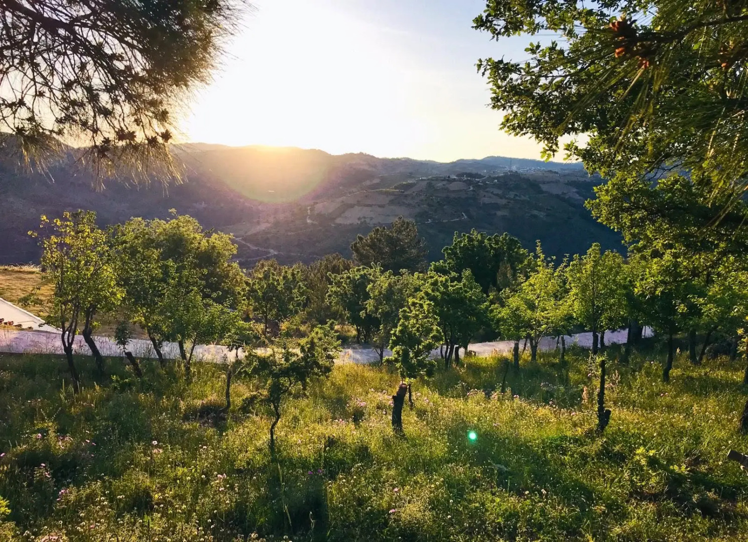 Отель Gödence Restoran