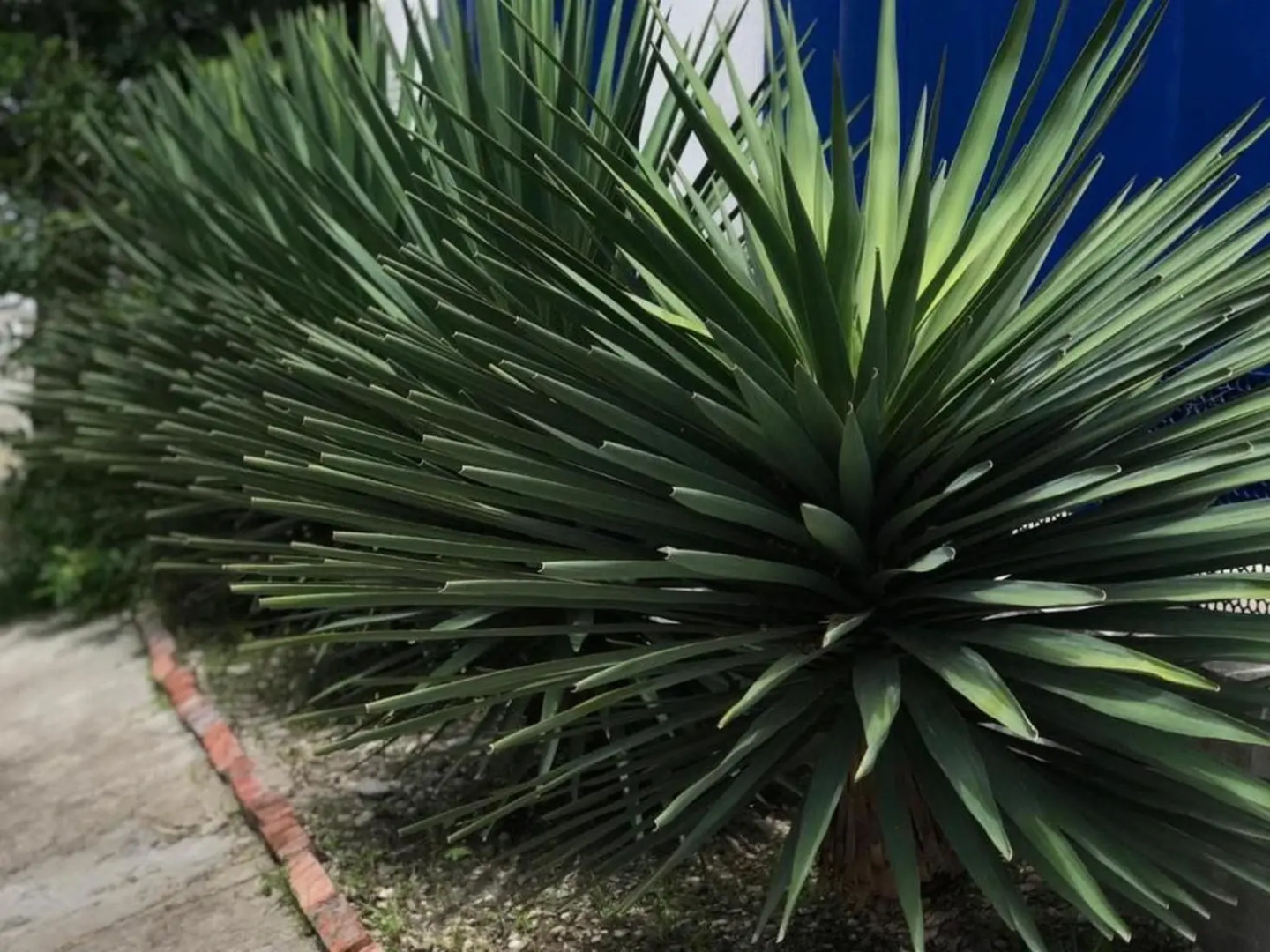 Гостевой Дом Синди