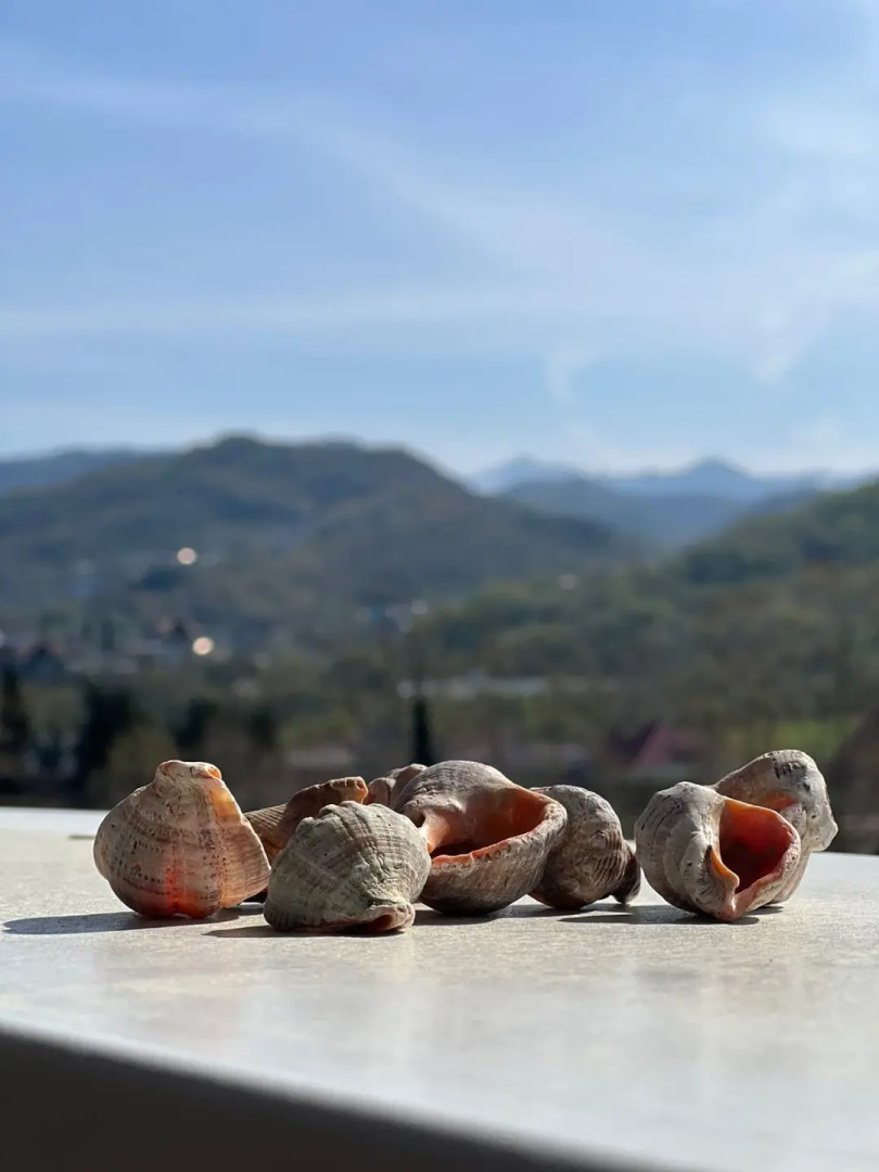 Апартаменты с Видом на Горы