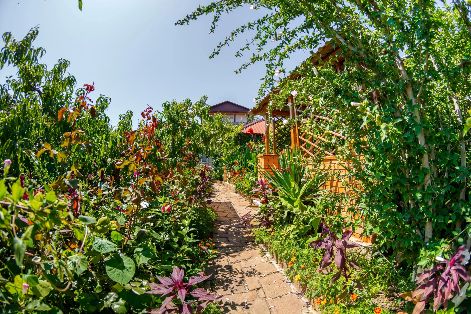 Гостевой дом Солнечная Долина