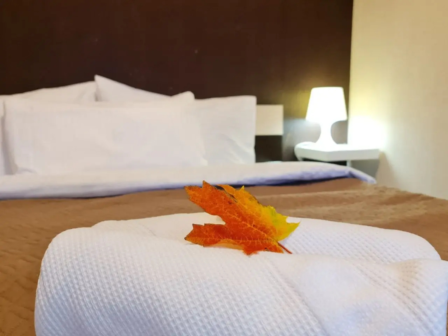 Квартира Lenina 5