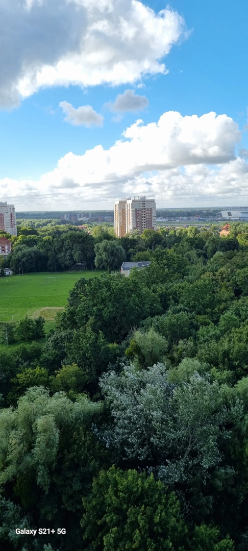 Апартаменты в центре Королевские ворота