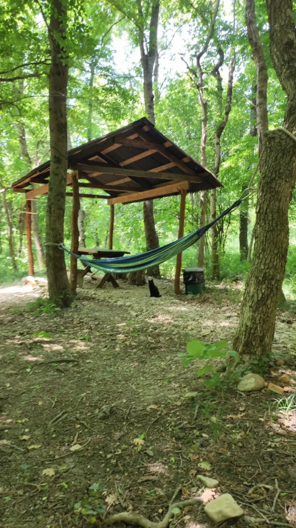 База отдыха Зелёный Бор