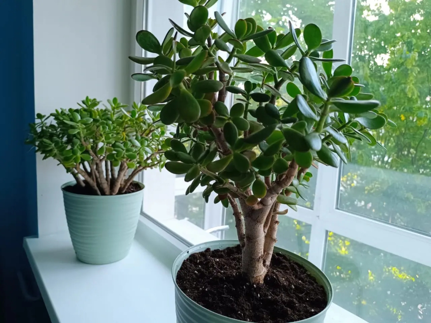 Квартира на Проспекте Мира