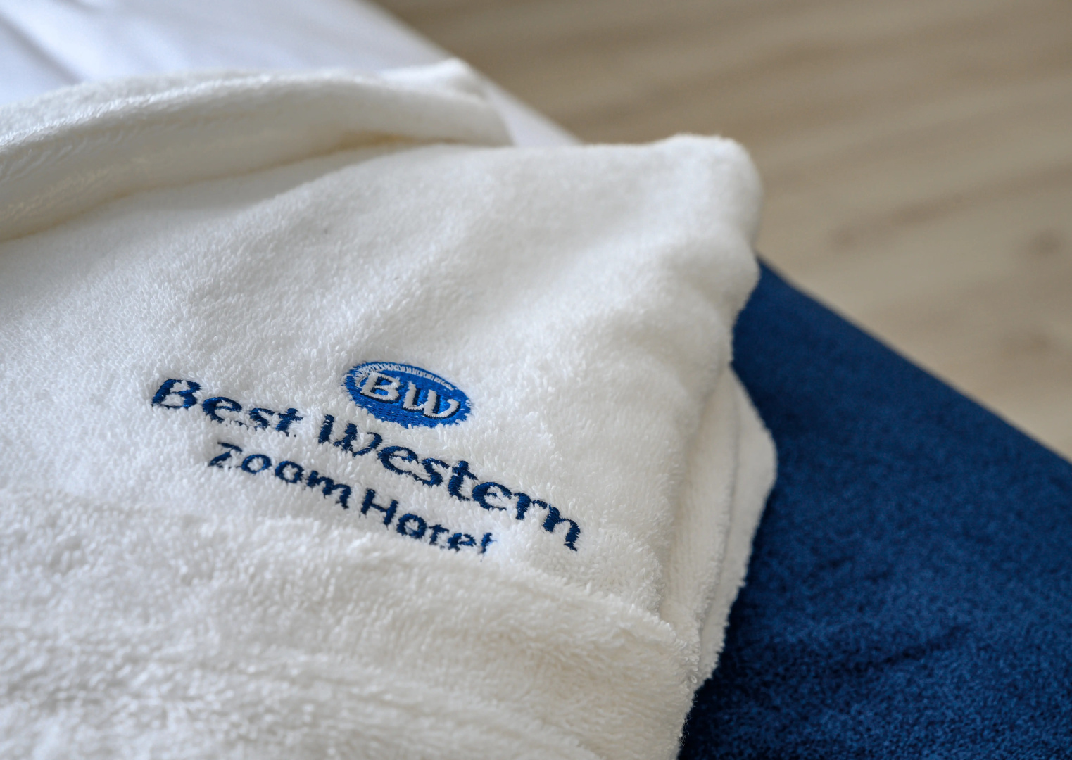 Best Western Zoom Hotel