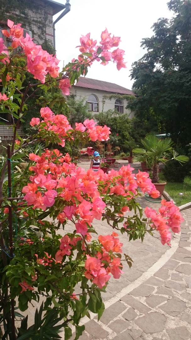 Гостевой Дом Крым