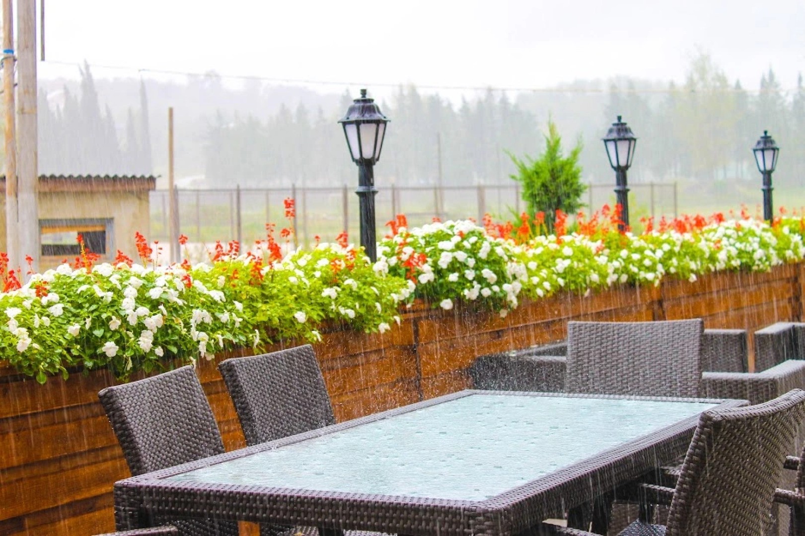 Отель Tskaltubo Plaza