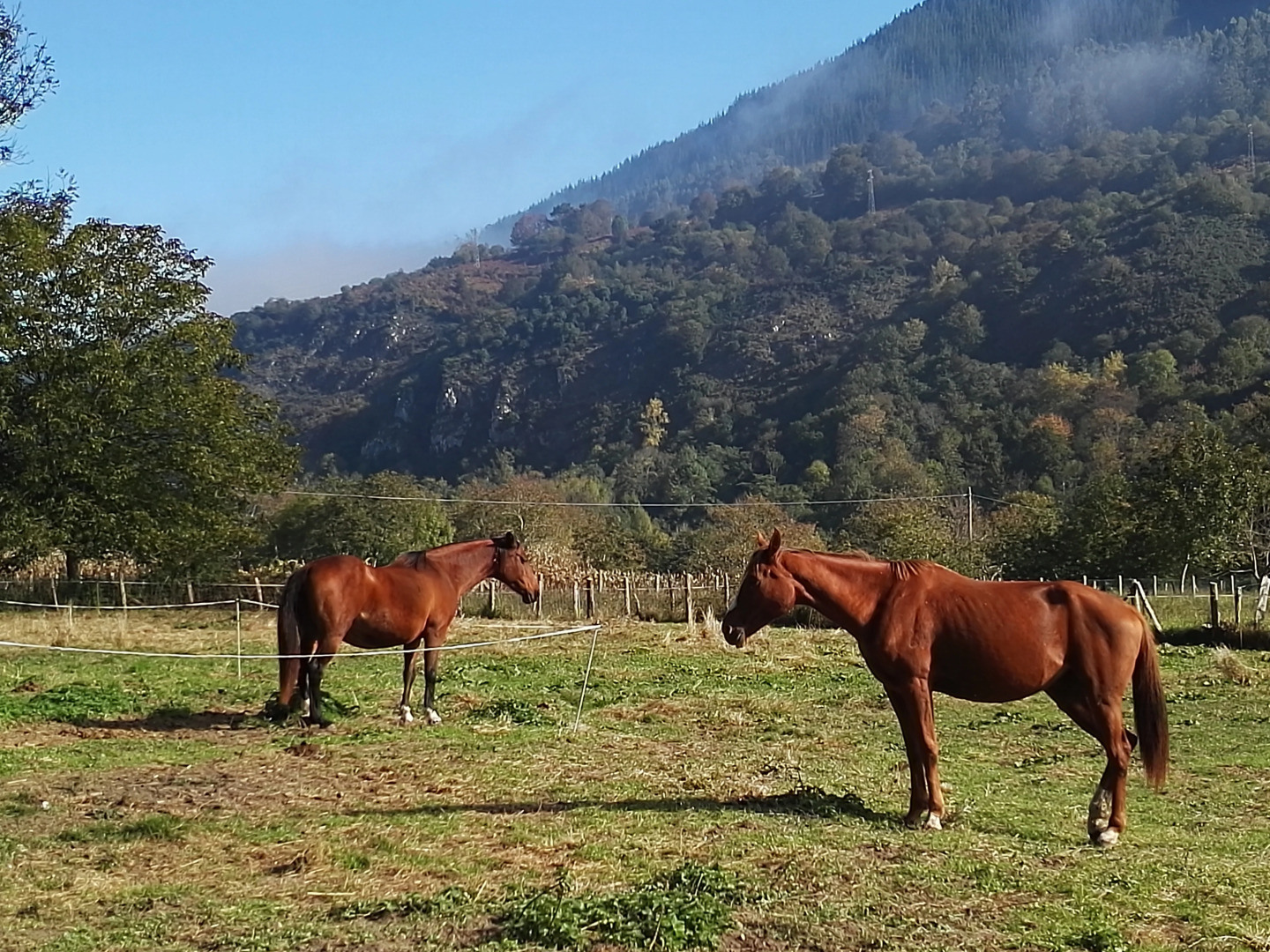 Отель San Francisco Rural