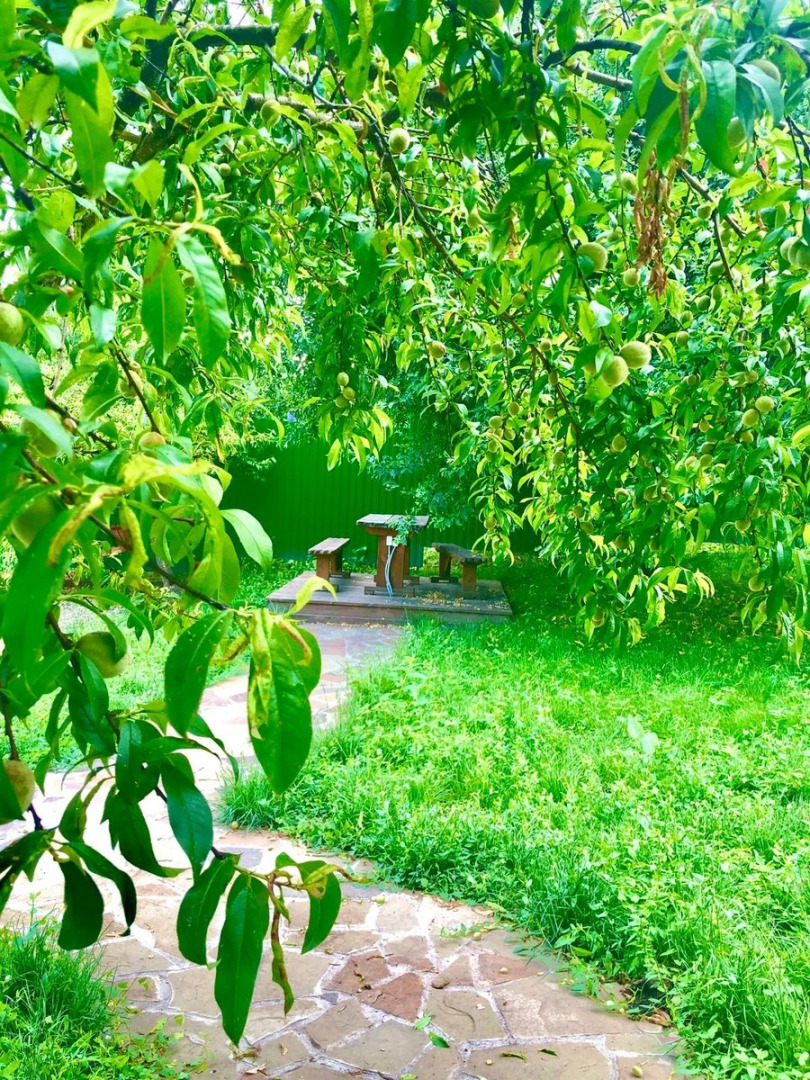 Гостевой дом Отдых у реки