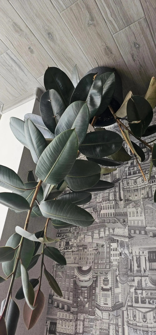 Квартира ЖК Дом на Волге