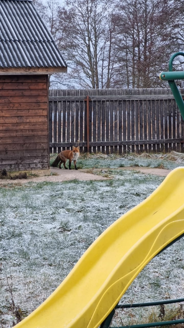 Гостевой дом Лето