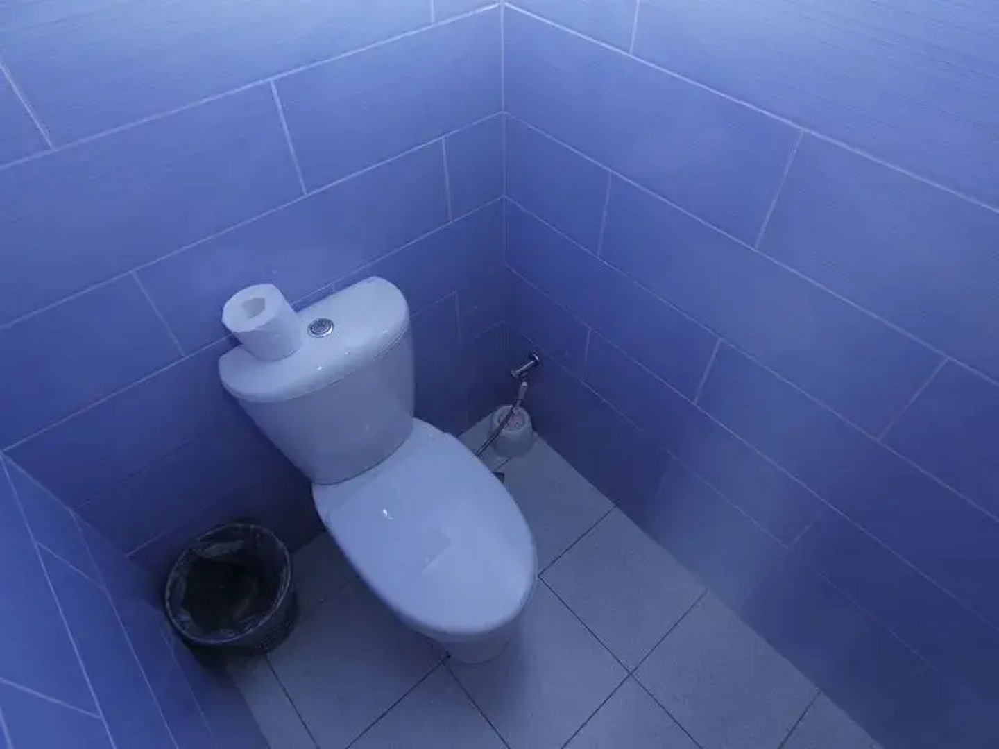 Гостевой дом Дельфин