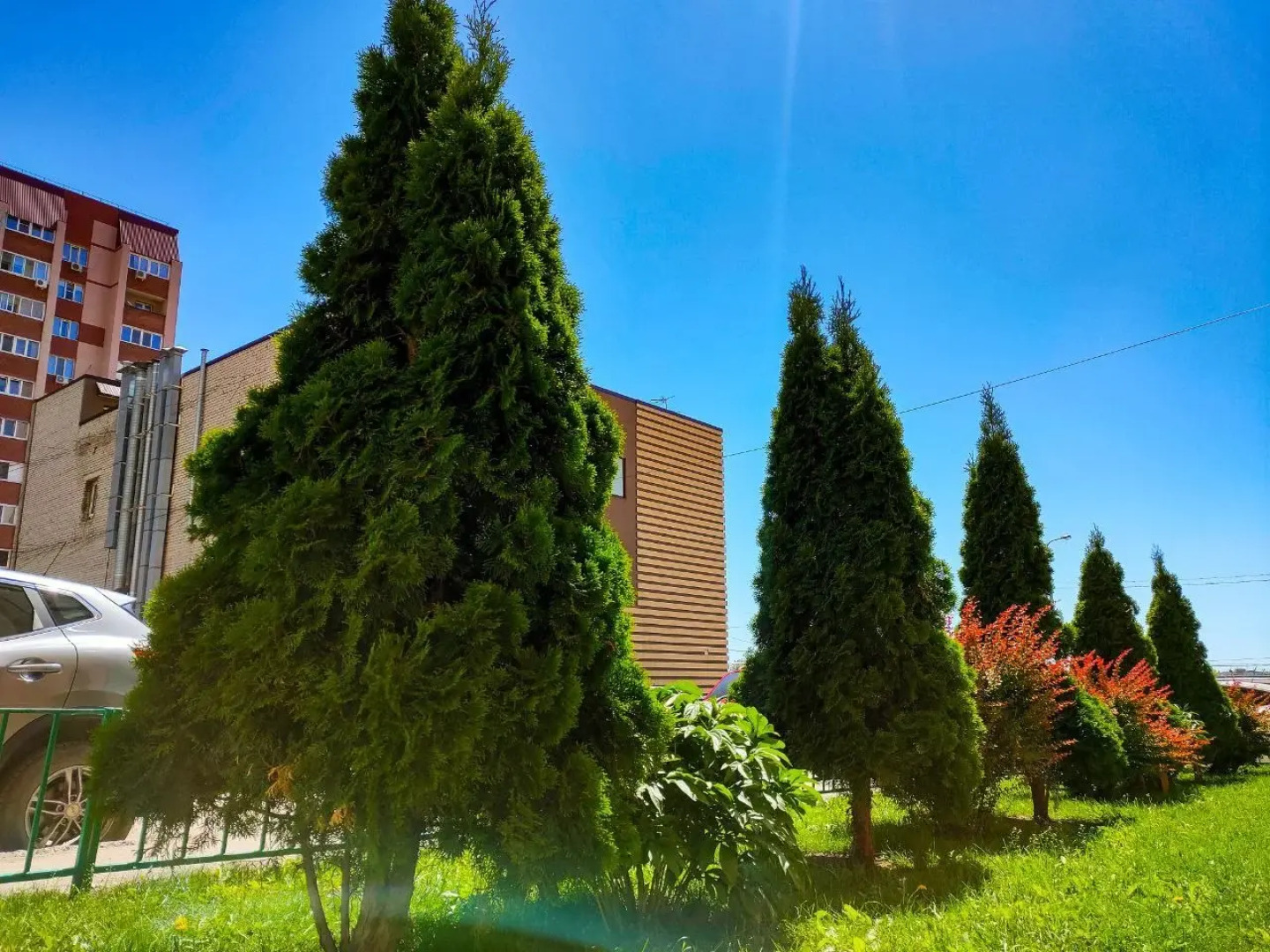 Апартаменты Mango Fresh