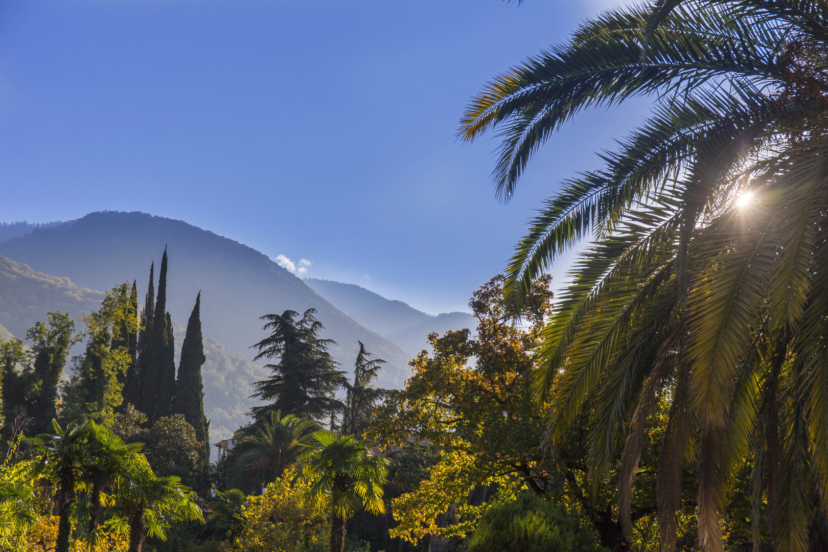 Sunrise Garden Hotel