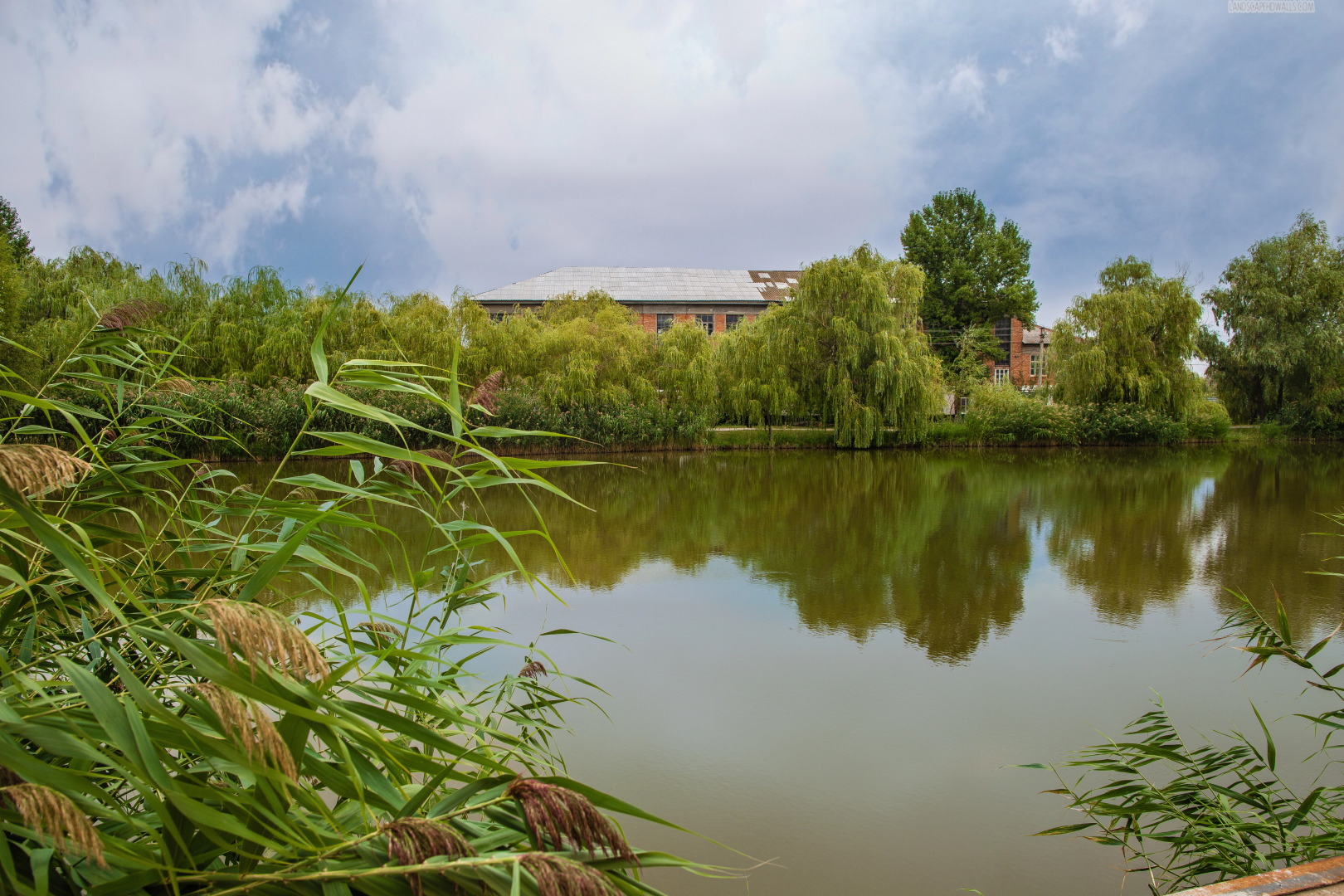 Отель Авиатор