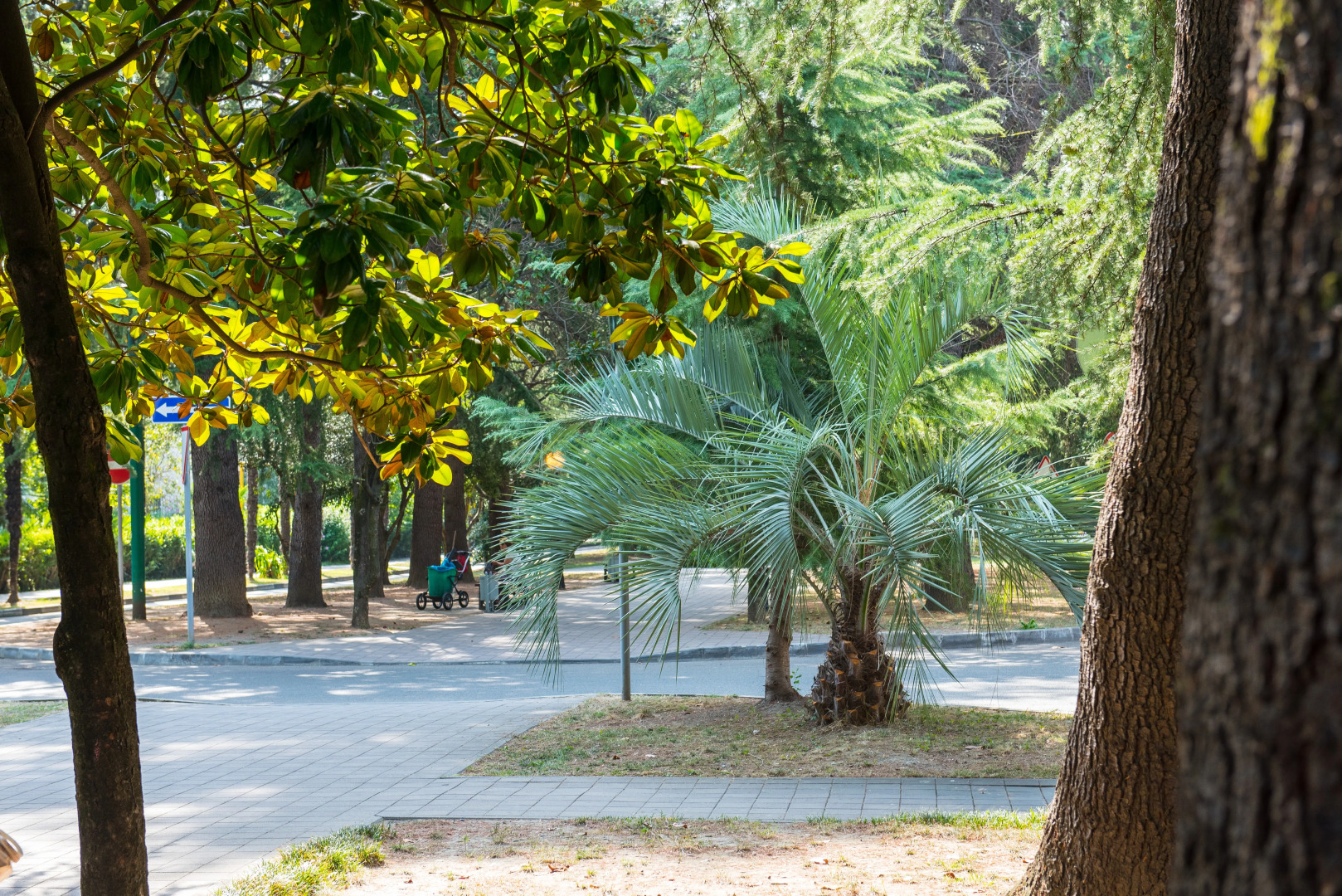 Апартаменты на Ленина 54