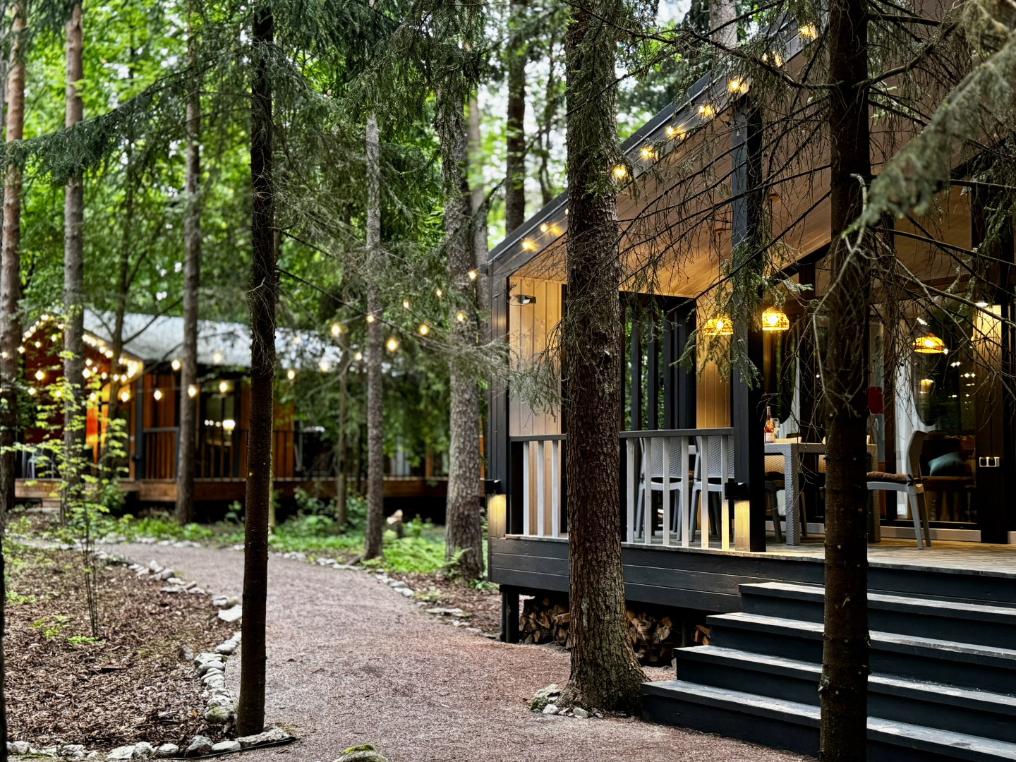 Частный дом Репинская дача на опушке красивого леса