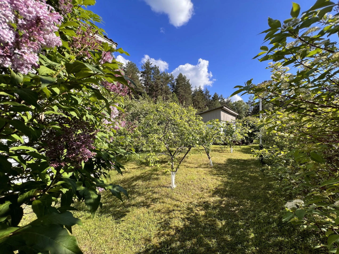 База отдыха Свободное Время